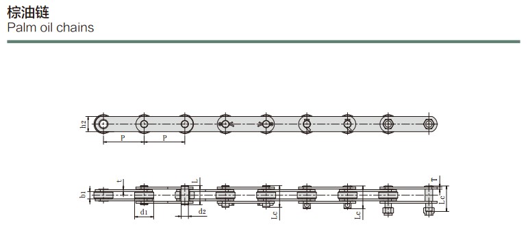 Hochwertige Palmölketten Rollenketten Förderketten