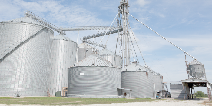 1691047270923599.png Getreideförderer.png